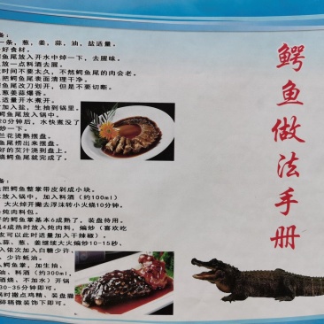 鳄鱼美食烧烤鳄鱼，红烧鳄鱼腿，剁椒鳄鱼头，油炸鳄鱼排