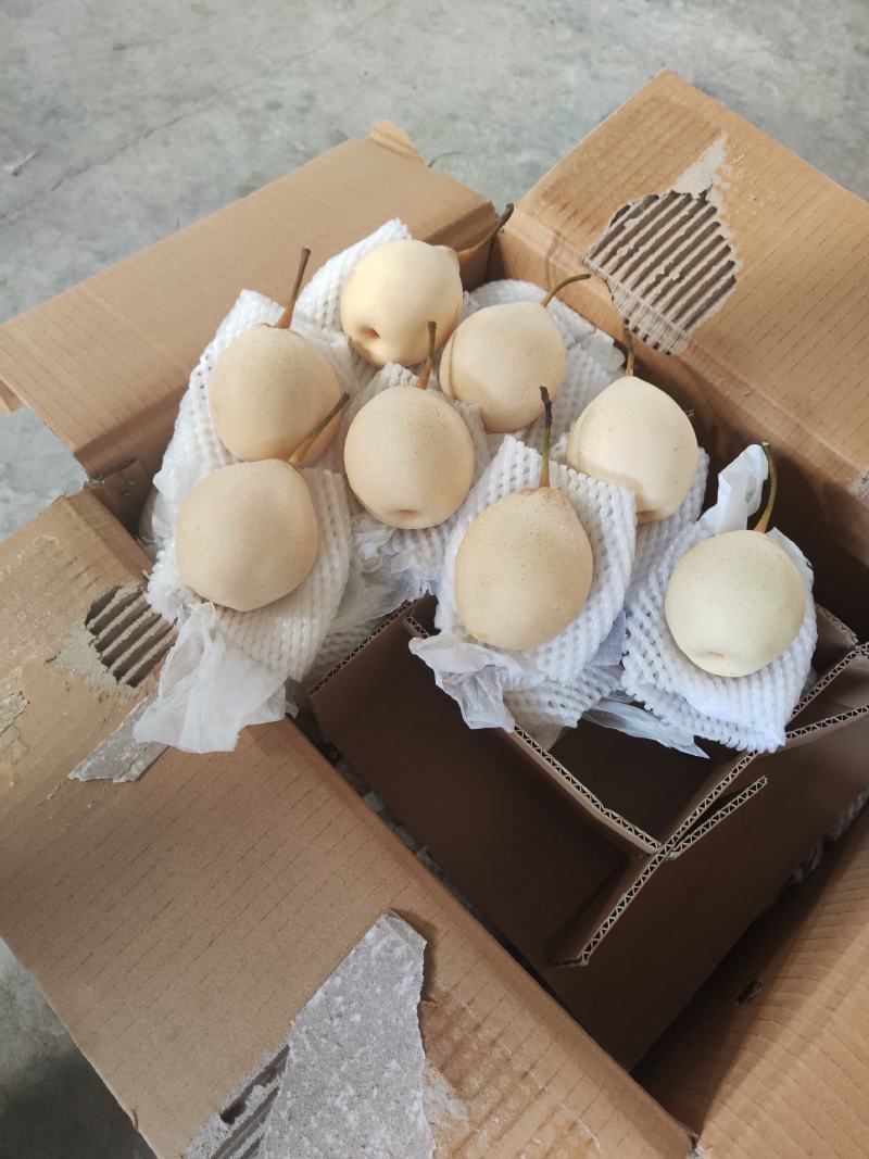 筐装大鸭梨高质量过手果黑胶筐装。