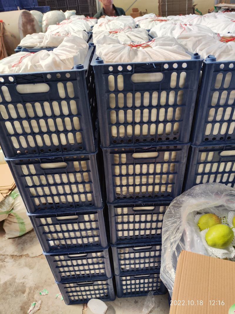 筐装大鸭梨高质量过手果黑胶筐装。