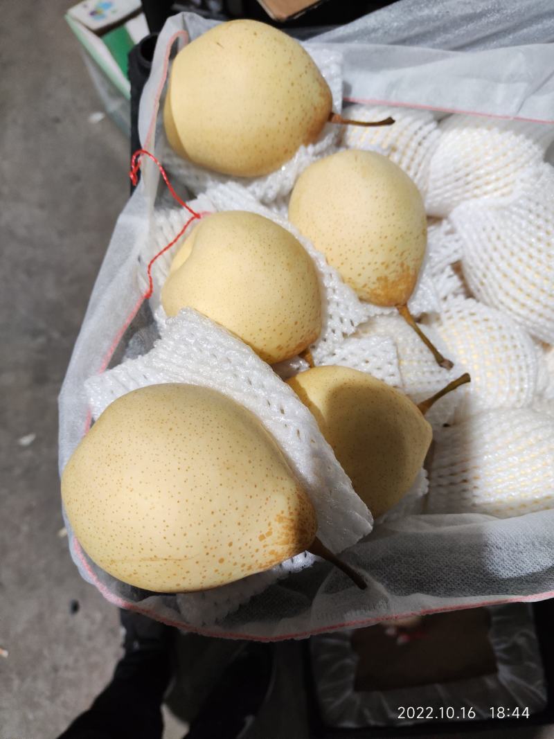 筐装大鸭梨高质量过手果黑胶筐装。