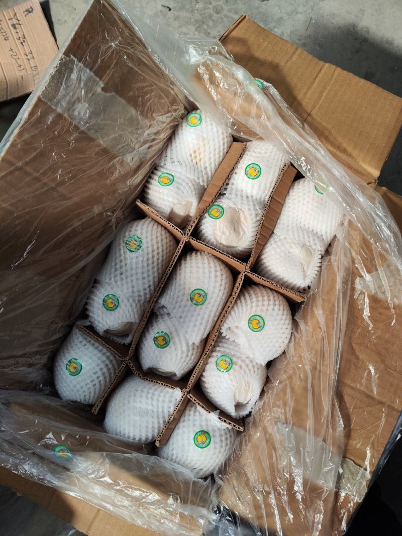 筐装大鸭梨高质量过手果黑胶筐装。