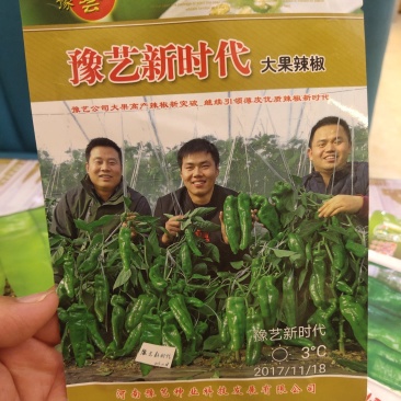 豫艺新时代高产皮薄早熟单果180克产15000斤粗，长