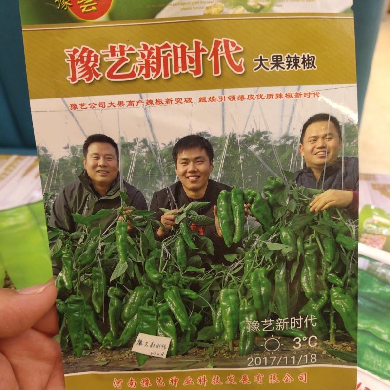 豫艺新时代高产皮薄早熟单果180克产15000斤粗，长