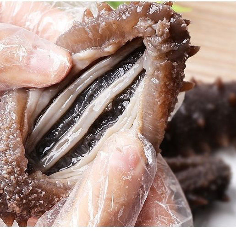 即食海参！各种鲜食海参，规格头数齐全！欢迎各位老板采购