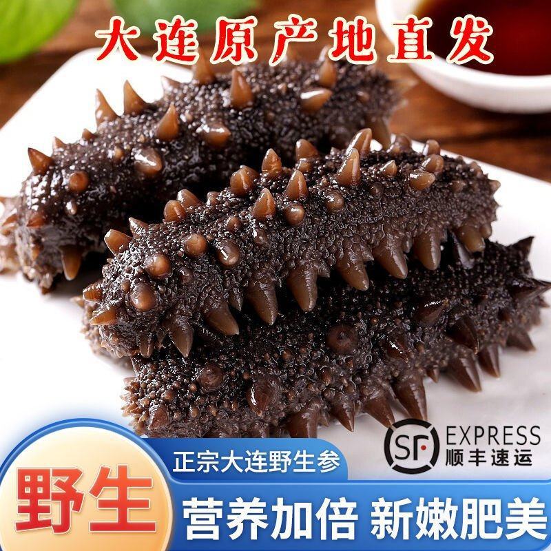即食海参！各种鲜食海参，规格头数齐全！欢迎各位老板采购