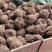贵州花魔芋，基地直供，货量充足，专业品质