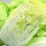 【精品】黄心大白菜产地直发欢迎各地老板来电