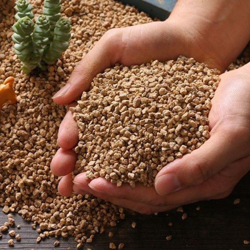 黄金软麦饭石颗粒营养多肉植物铺面拌土专用花盆栽种植上色控