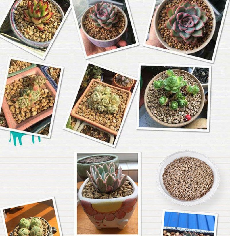 黄金软麦饭石颗粒营养多肉植物铺面拌土专用花盆栽种植上色控