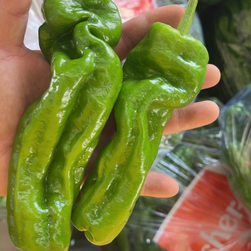 【精品】南通薄皮上市，需要的老板联系，产地直供