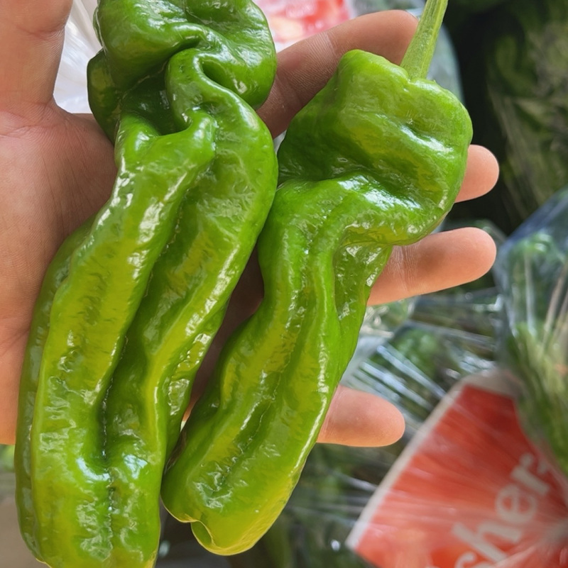 【精品】南通薄皮上市，需要的老板联系，产地直供