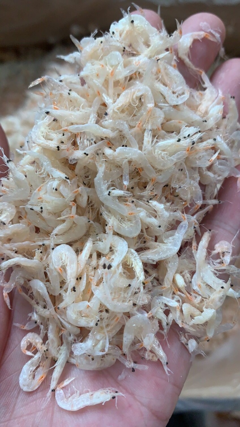 特级高钙干虾皮