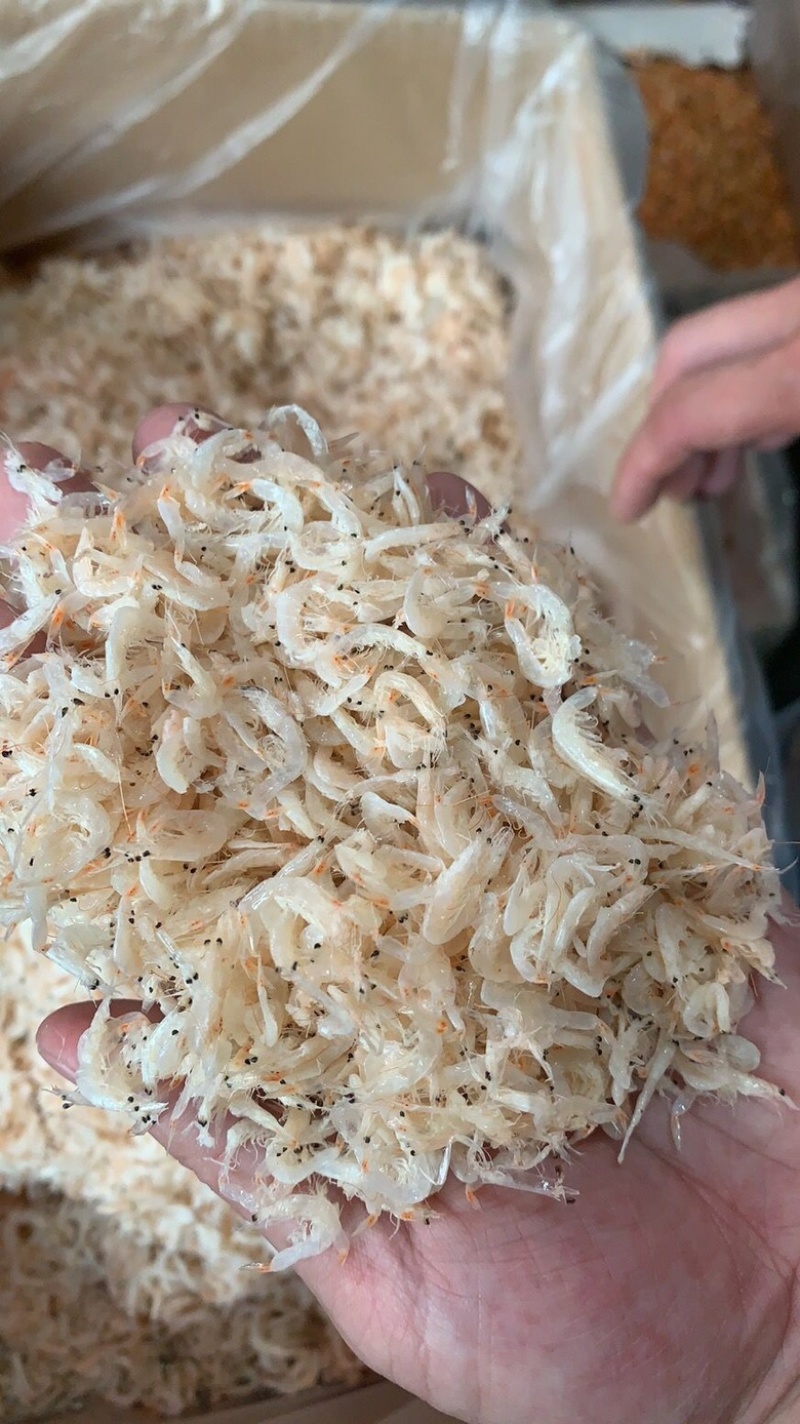 特级高钙干虾皮