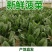 菠菜大叶菠菜河南菠菜大量现货规格齐全来电议价