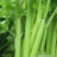 【精品】芹菜大量上市中保质保量有需要的联系我