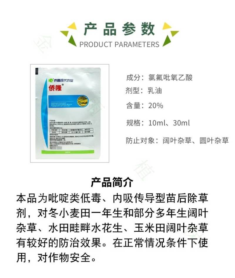 侨昌侨隆288克/升氯氟吡氧乙酸水花生草坪一年阔叶杂草