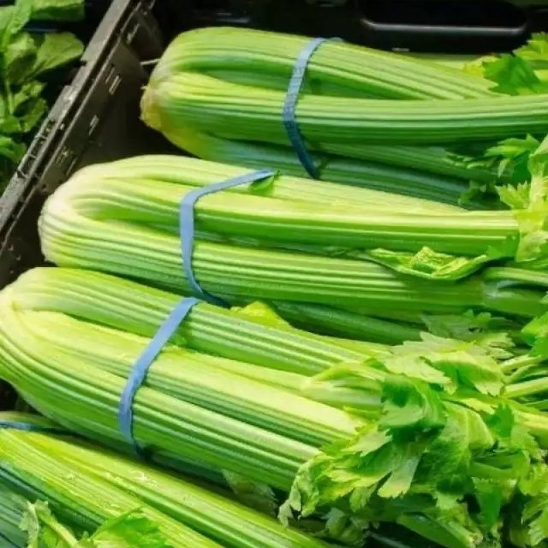 【精品】芹菜大量上市中保质保量有需要的联系我