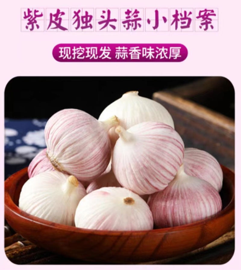 民乐紫皮独头大蒜