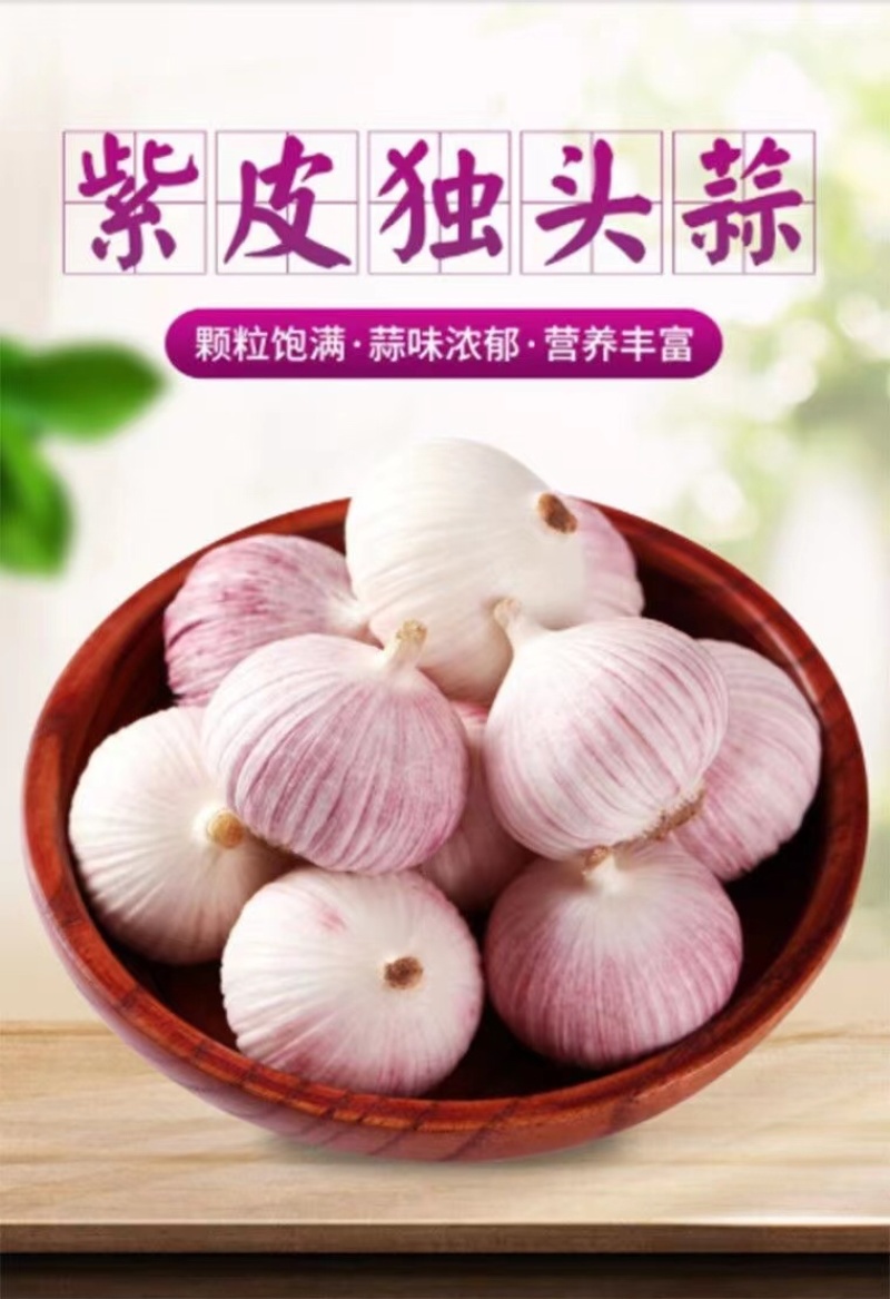 民乐紫皮独头大蒜