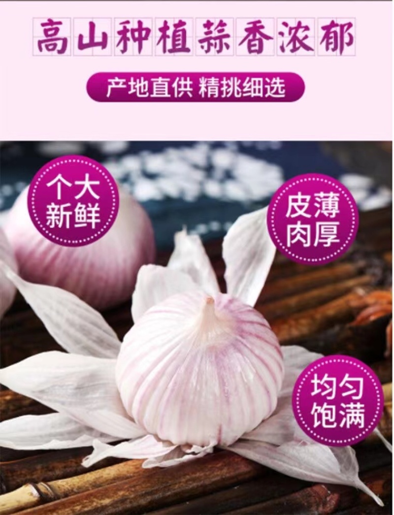 民乐紫皮独头大蒜