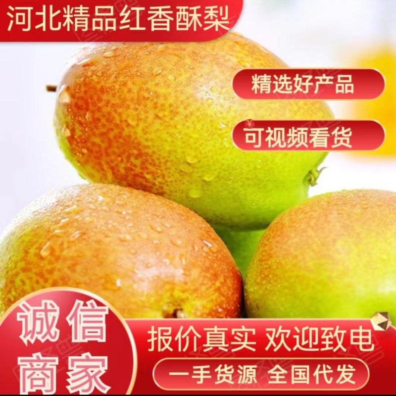 【推荐】河北玉露香货源充足品质保证代发全国