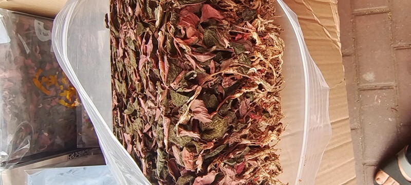 金线莲台湾大叶红霞今年新货无碎超靓促销包邮