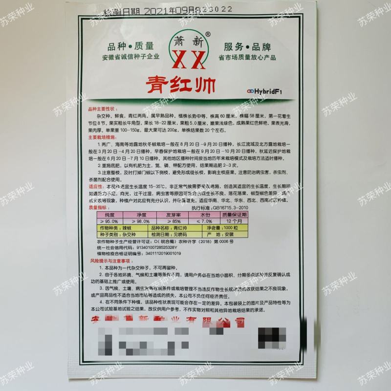 萧新青红帅辣椒种子长牛角型辣椒种籽大果辣椒中辣抗病早熟
