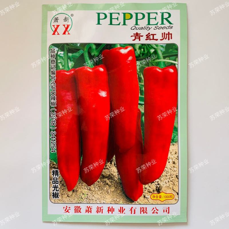 萧新青红帅辣椒种子长牛角型辣椒种籽大果辣椒中辣抗病早熟