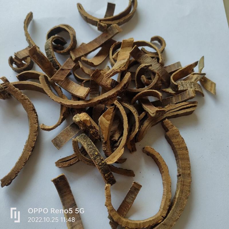 海桐皮无硫无添加地道药材祥泰药材栈欢迎下单实物拍摄