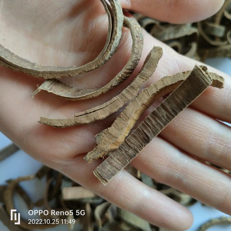 海桐皮无硫无添加地道药材祥泰药材栈欢迎下单实物拍摄