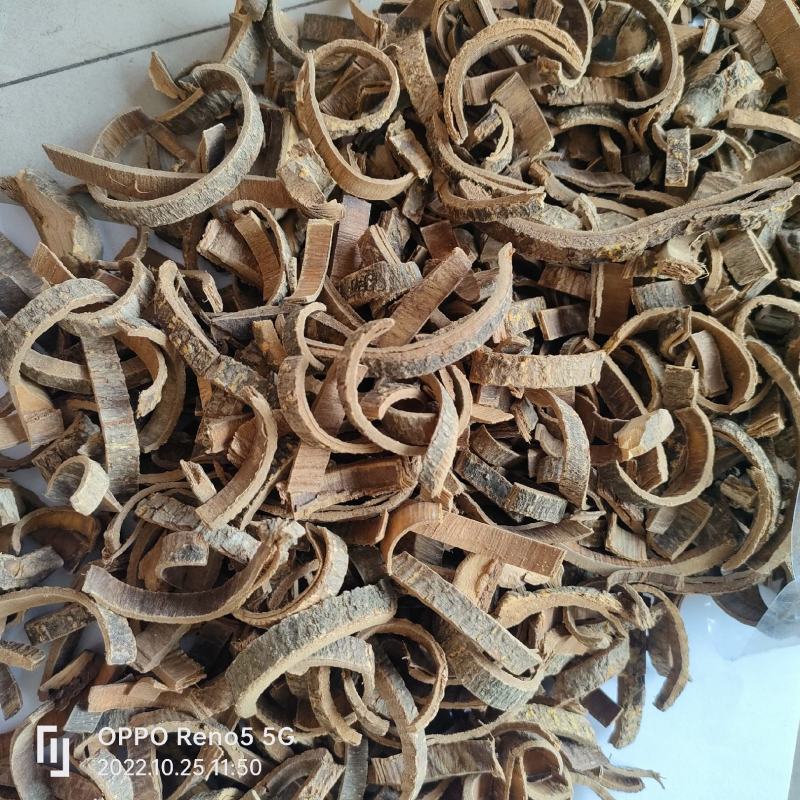 海桐皮无硫无添加地道药材祥泰药材栈欢迎下单实物拍摄