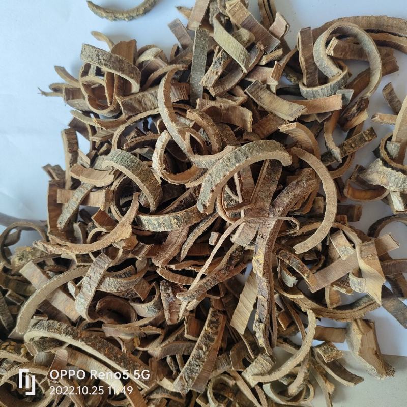 海桐皮无硫无添加地道药材祥泰药材栈欢迎下单实物拍摄