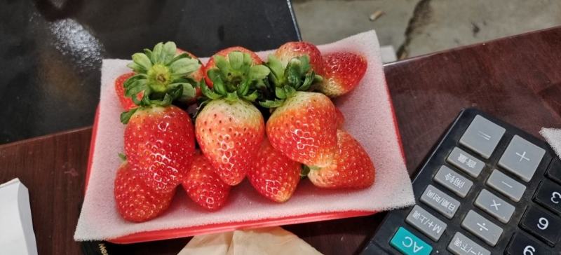 安徽天仙醉草莓，在徐州叫妙香，11月中旬大量上市，代办