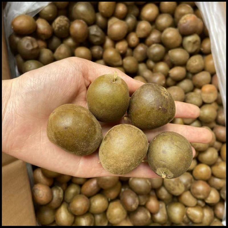 广西桂林罗汉果永福罗汉果大果鲜果大量有货欢迎咨询采购
