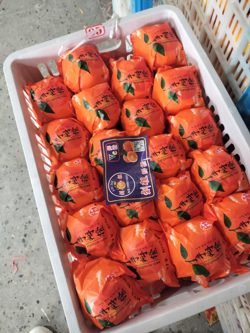 【实力供货】纽荷尔脐橙精品柑桔产地一手货源对接批发市场