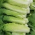 大白菜
