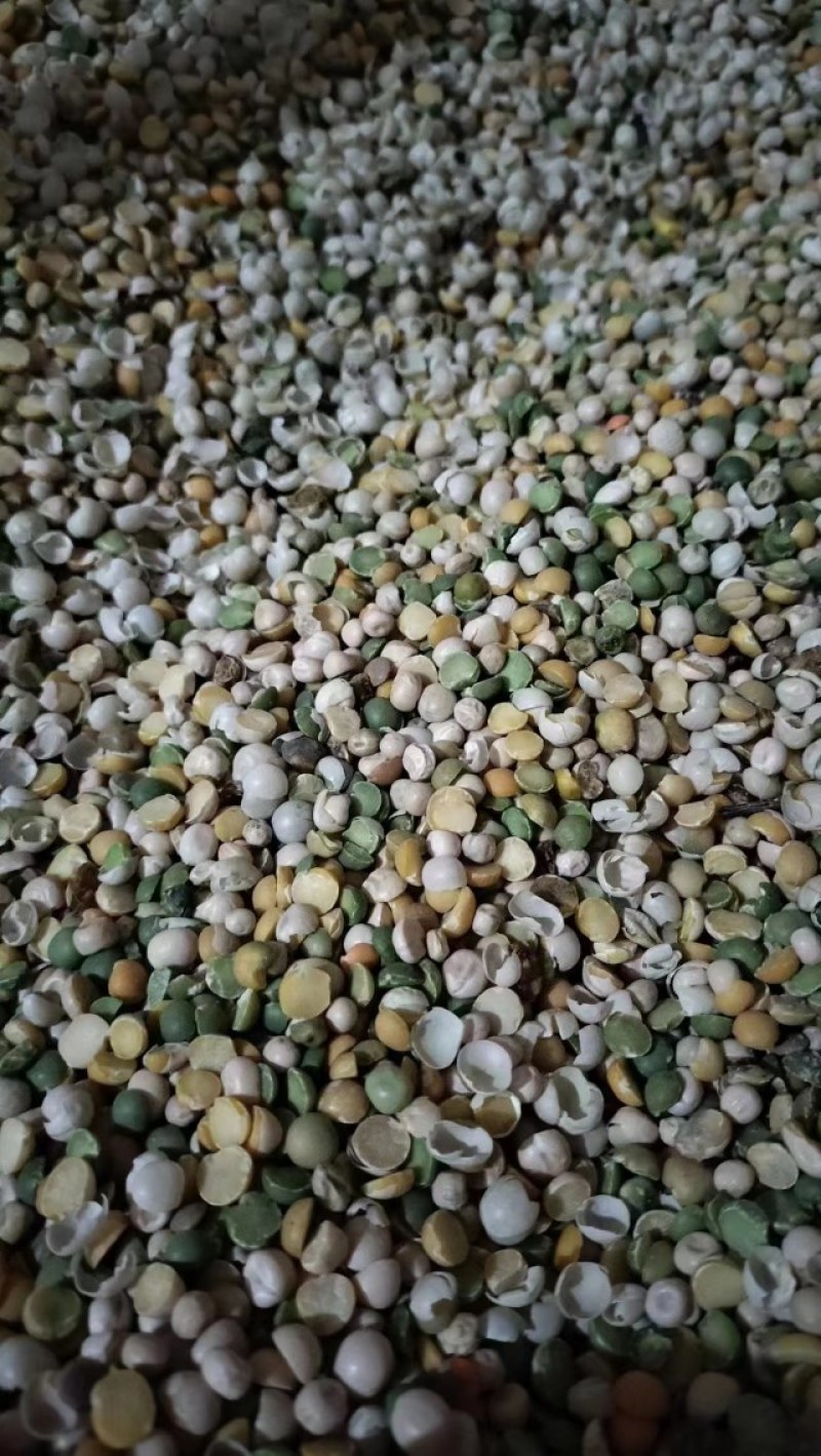 碎大豆