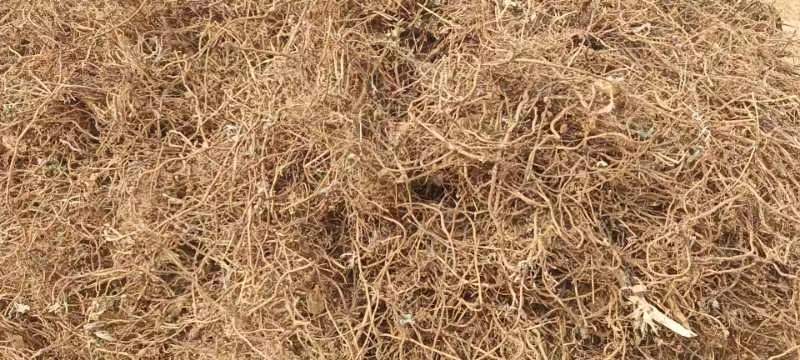 原产南阳品大叶干艾根，新货足干，价格实惠下单包邮