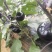 无籽黑骑士圆茄个大肉肥