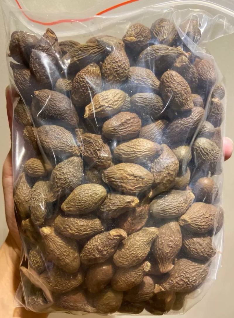 【胖大海】无硫大颗粒胖大海长果多规格可选包邮