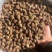 【胖大海】无硫大颗粒胖大海长果多规格可选包邮