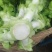 四川儿菜大娃娃菜现货供应商超直供全国发货