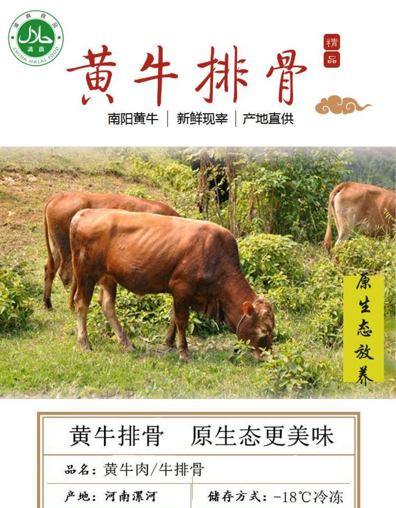 清真现切黄牛排骨4斤燕翅骨牛窝骨牛脖骨散养新鲜速冻包邮