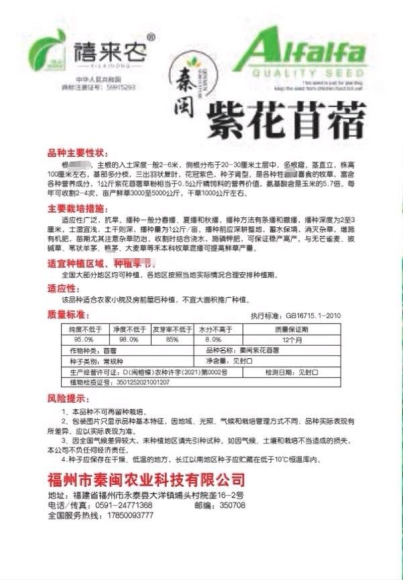 籽紫花苜蓿种子种子牧草种子种植户大面积种植蔬菜种子