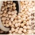 现货供应鹰嘴豆天麻子五谷杂粮袋装50斤