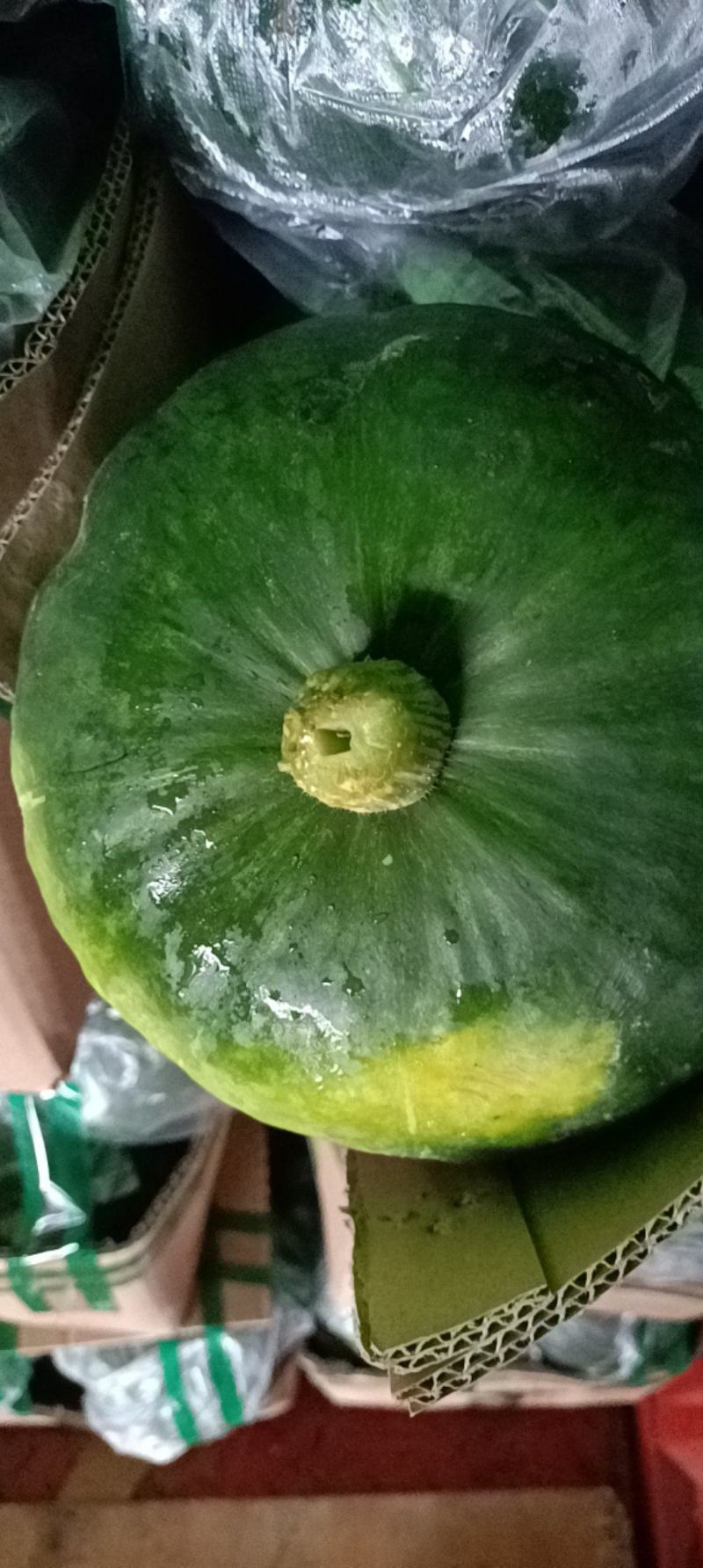 贝贝瓜