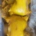 盐焗鸡腿盐焗鸡盐焗鸡翅跑江湖摆摊展厂家批发一手货源卤菜凉