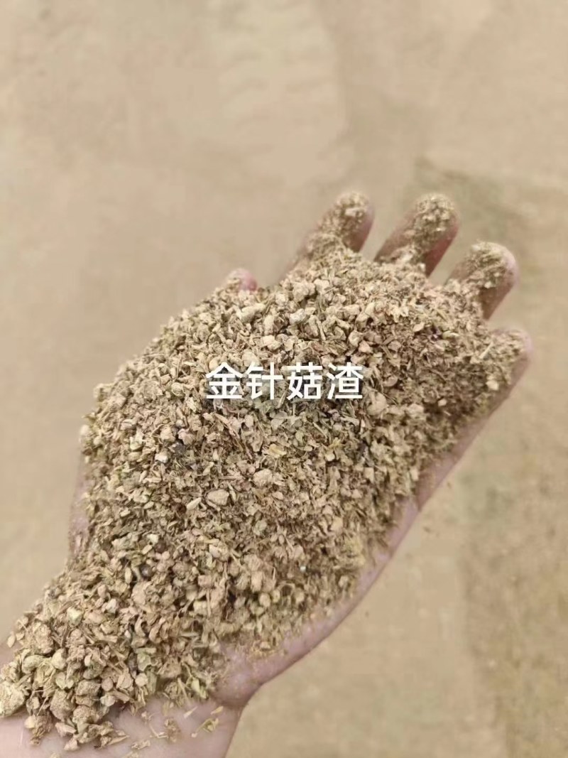 金针菇碎颗粒，下脚料物美价优，全国发货！！