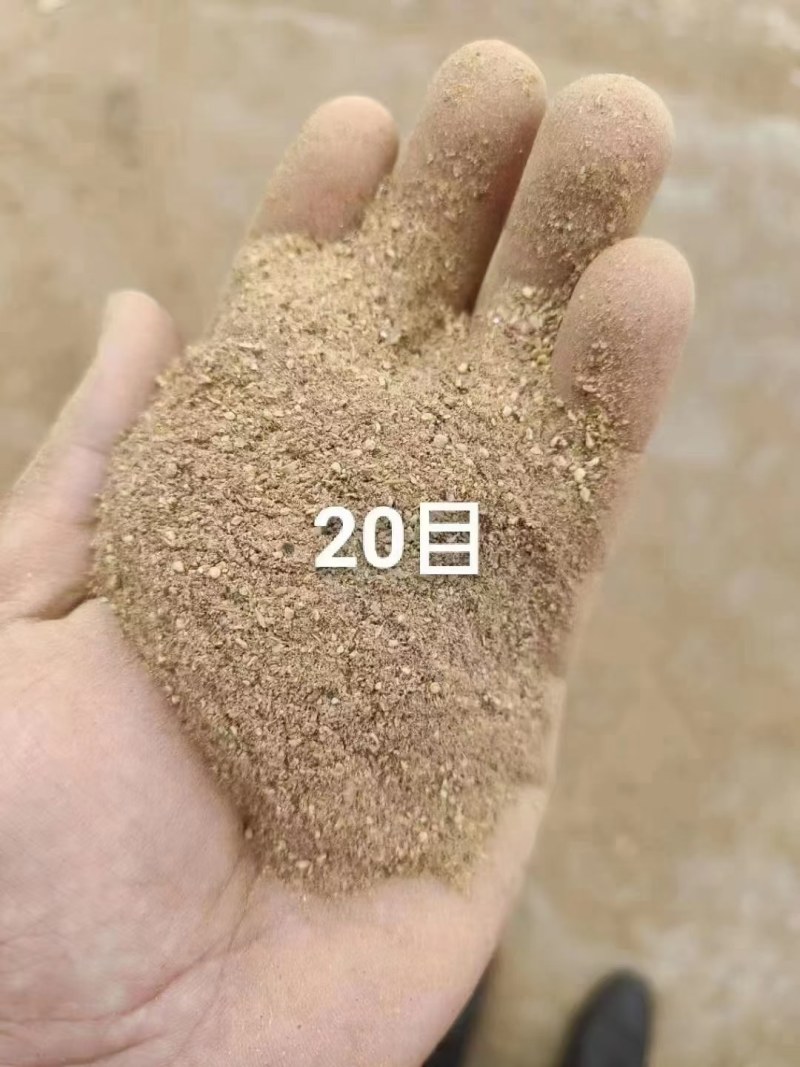 金针菇碎颗粒，下脚料物美价优，全国发货！！