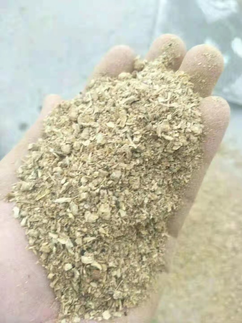 金针菇碎颗粒，下脚料物美价优，全国发货！！